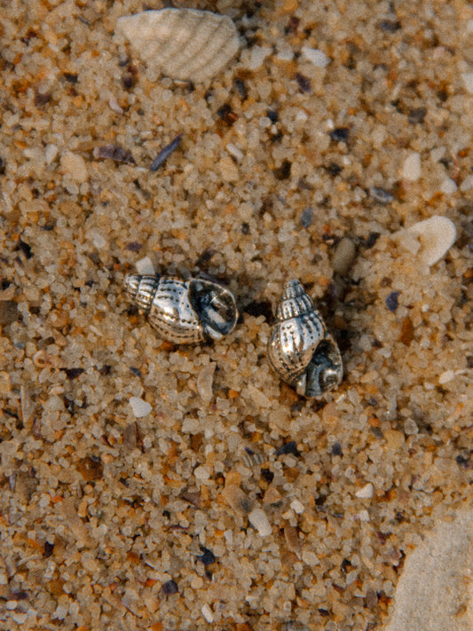 Сережки Спіральні мушлі