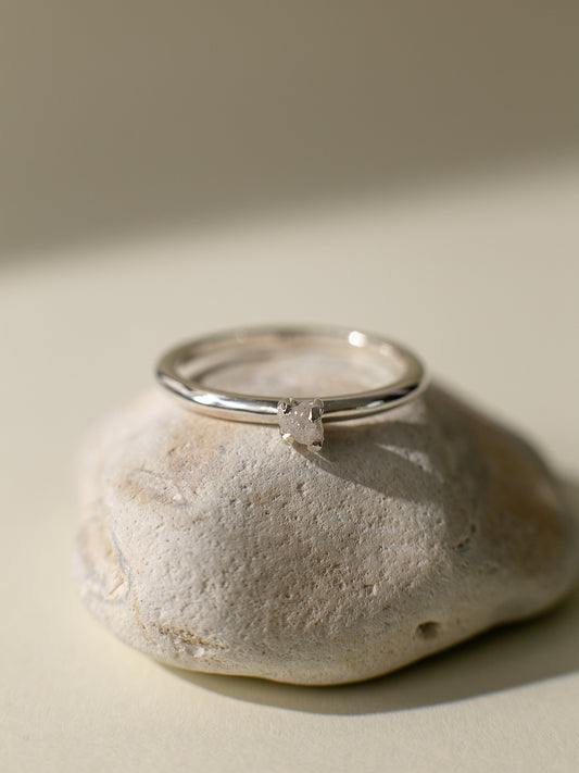 Ring with a diamond in the paws