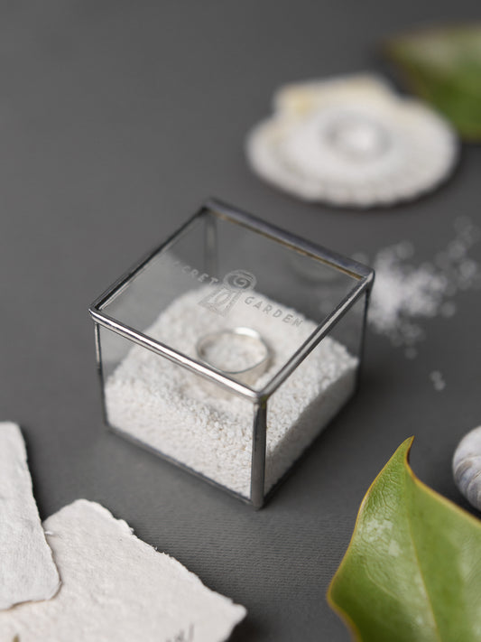 Скляна скринька SG