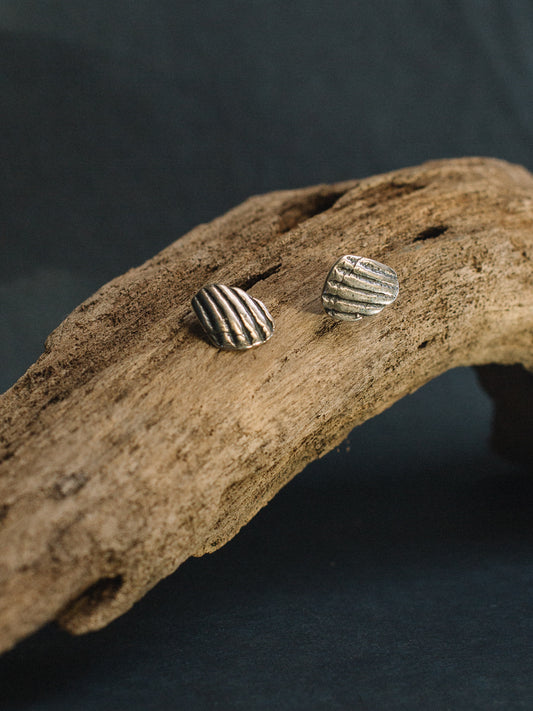 Сережки Фрагменти мушлі великі