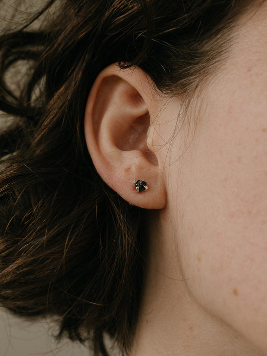 Пусети з алмазами в лапках