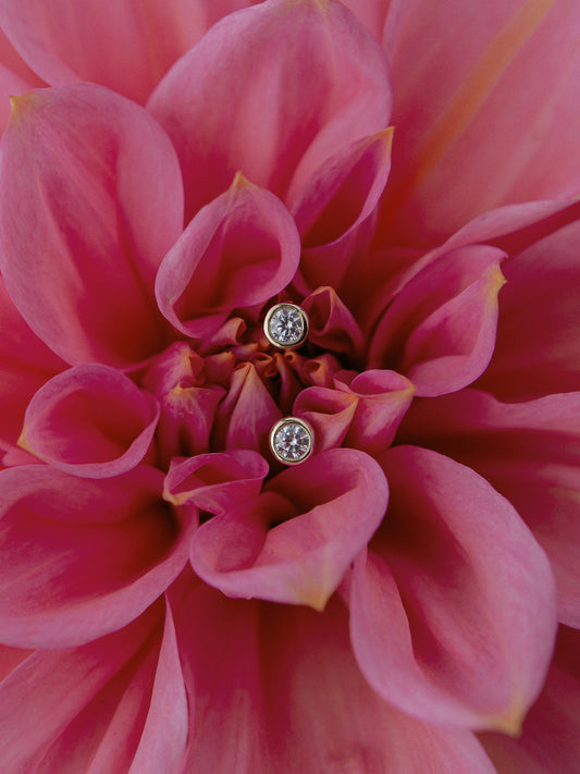 Сет циліндричний