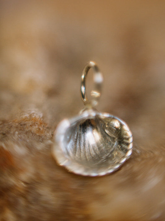 Shell Pendant