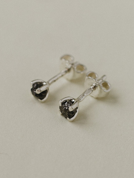 Пусети з алмазами в лапках