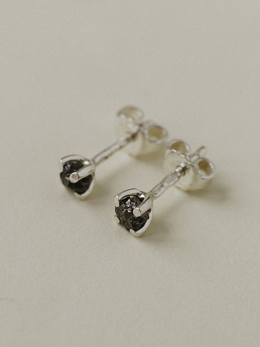 Пусети з алмазами в лапках