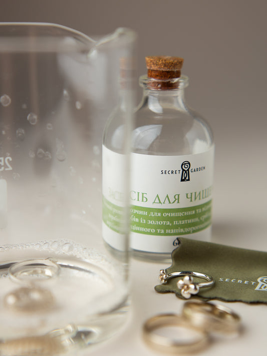 Jewelry cleaning kit