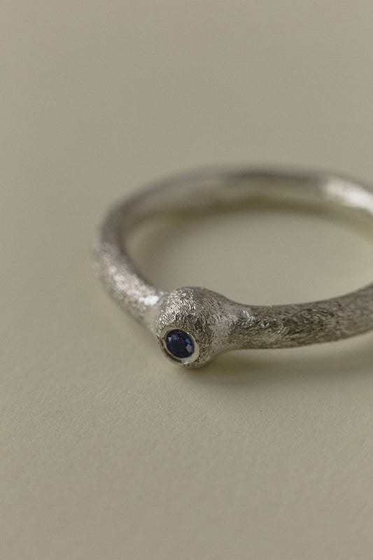 Rough ring