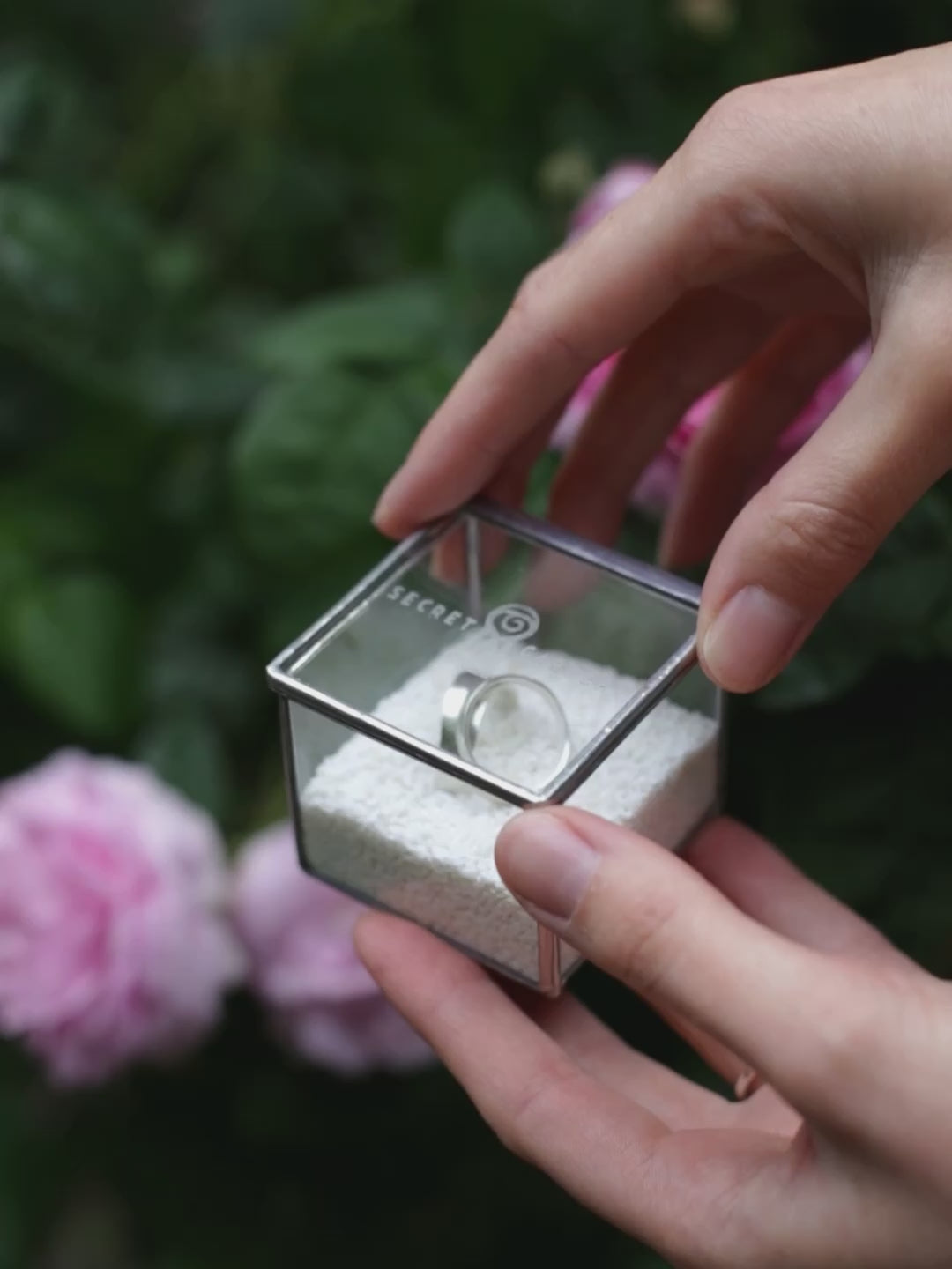 Glass box SG